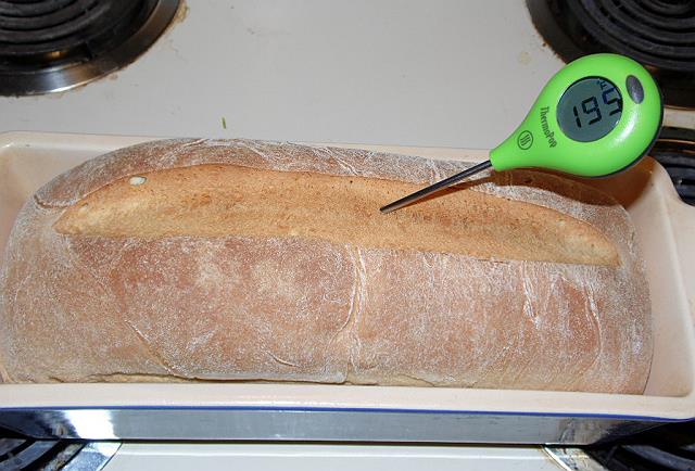 Bread 21